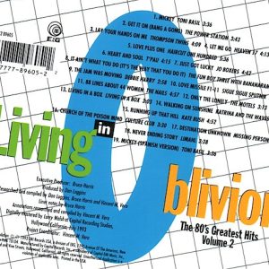 Living In Oblivion The 80's Greatest Hits - Volume 2 Cd (Varios Artistas)