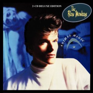 The Blow Monkeys – Animal Magic Cd Deluxe Edition (12")